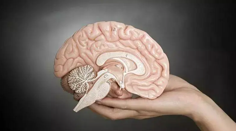 脑萎缩康复运动方法