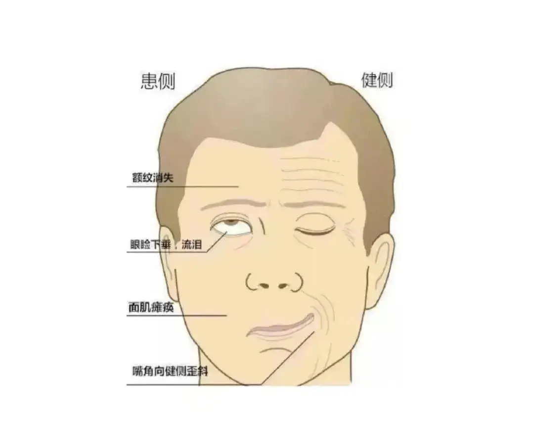 28b844e45f8740c3b6e65930535a3243.png