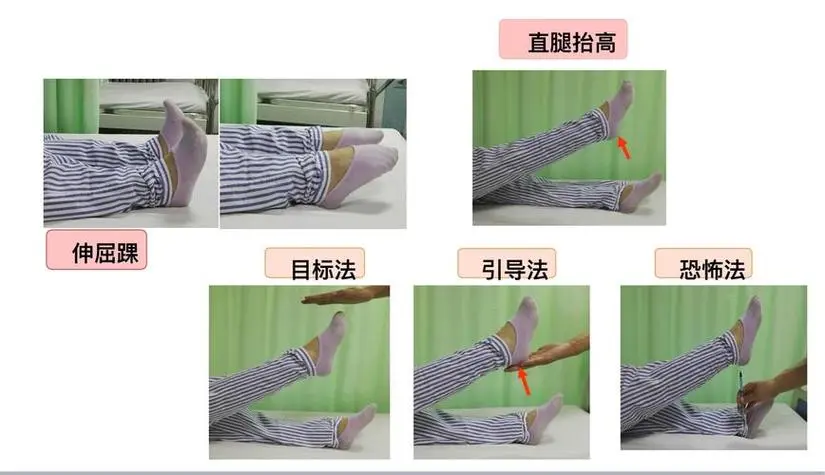 49c487a165754452a64b111c7e683bb0.png