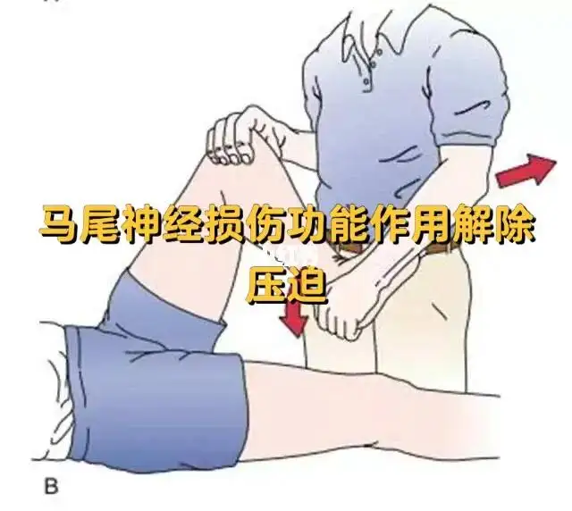 49c487a165754452a64b111c7e683bb0.png