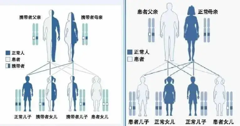 28b844e45f8740c3b6e65930535a3243.png