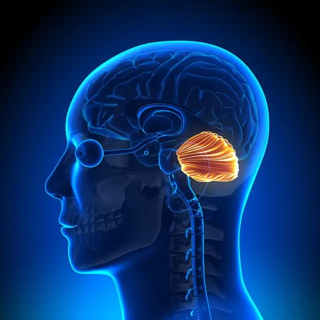 28b844e45f8740c3b6e65930535a3243.png