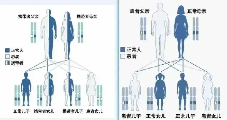 28b844e45f8740c3b6e65930535a3243.png