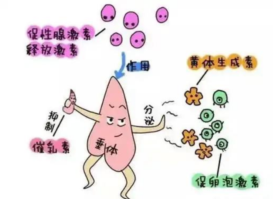 69eb8e3c064740a282b7b51a89785997.png