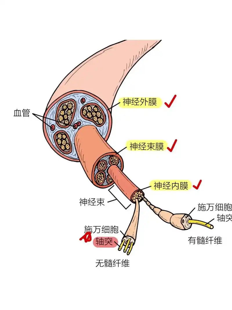 微信图片_20250519154415.png