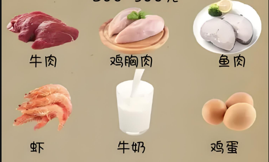 帕金森患者的饮食指南:这些食物助力健康管理