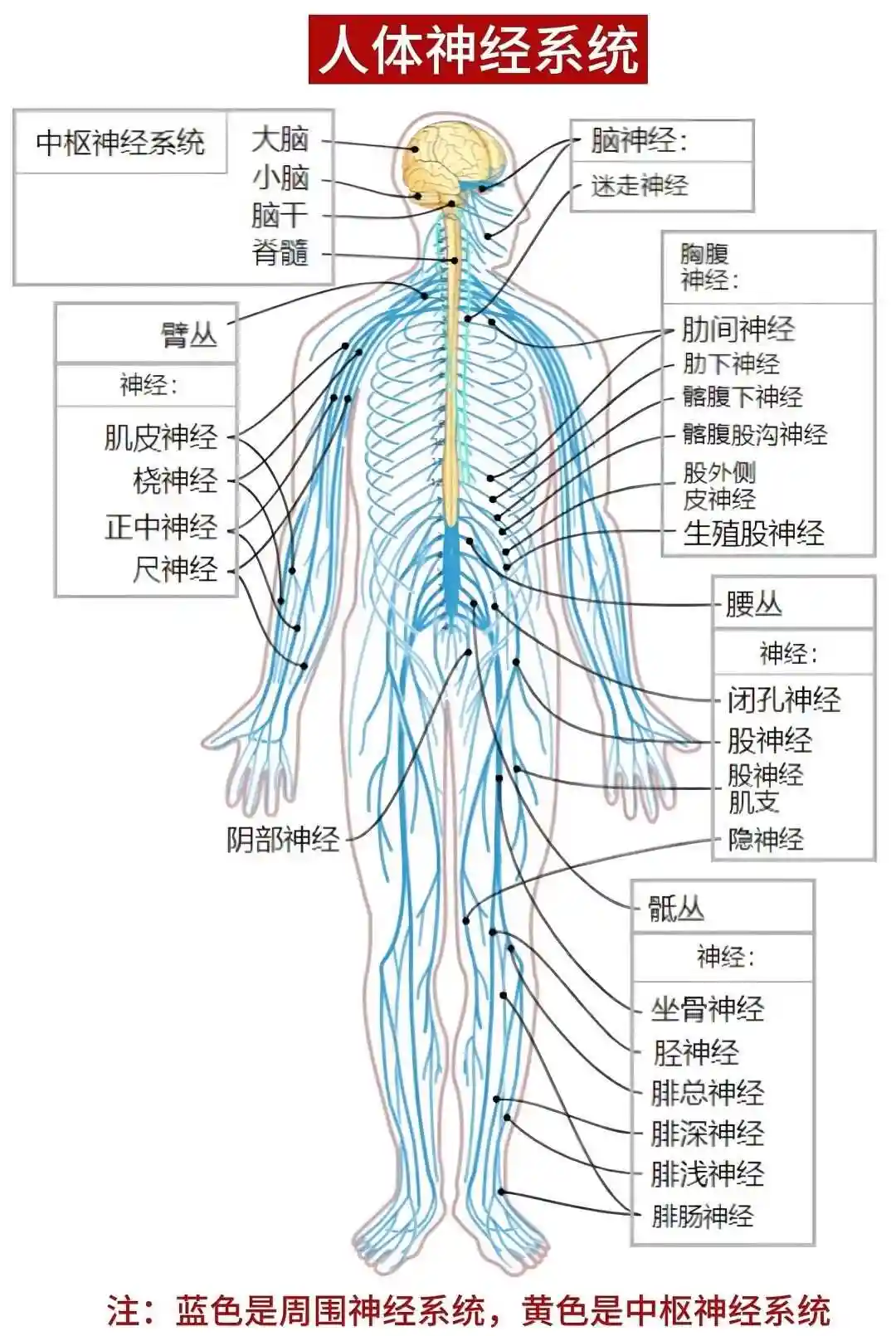 微信图片_20250607140014.png
