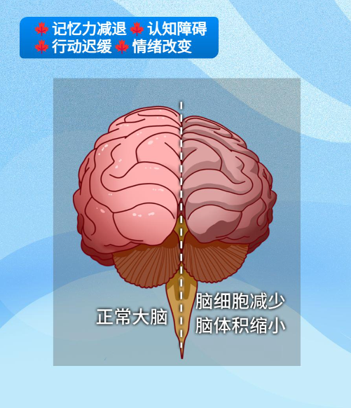 微信图片_20250607140014.png