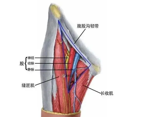 640.webp (7).jpg