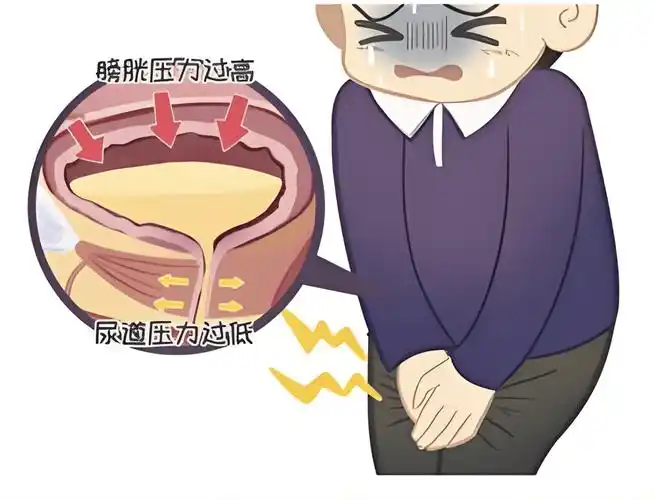 微信图片_20250607141309.png