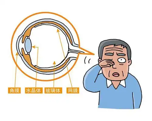 微信图片_20250607151538.png