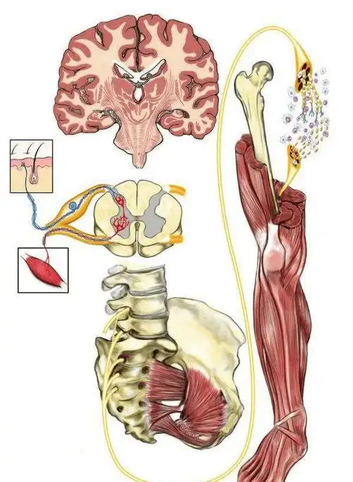 k.png